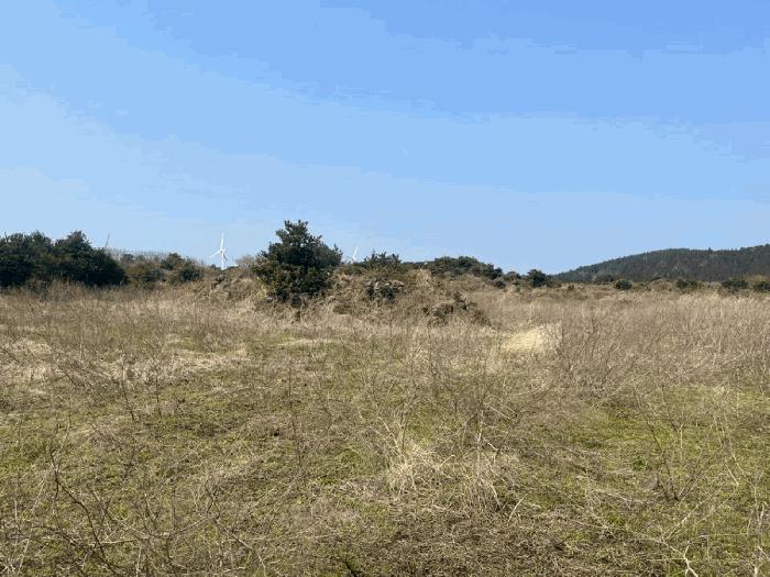제주특별자치도 서귀포시 성산읍 수산리 3981 목장용지 경매 사진 6
