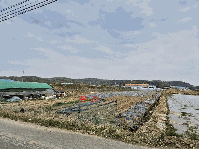 대구광역시 달성군 하빈면 동곡리 1050 답 경매 사진 2