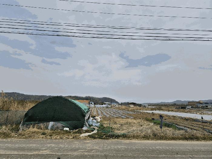 대구광역시 달성군 하빈면 동곡리 1050 답 경매 사진 3