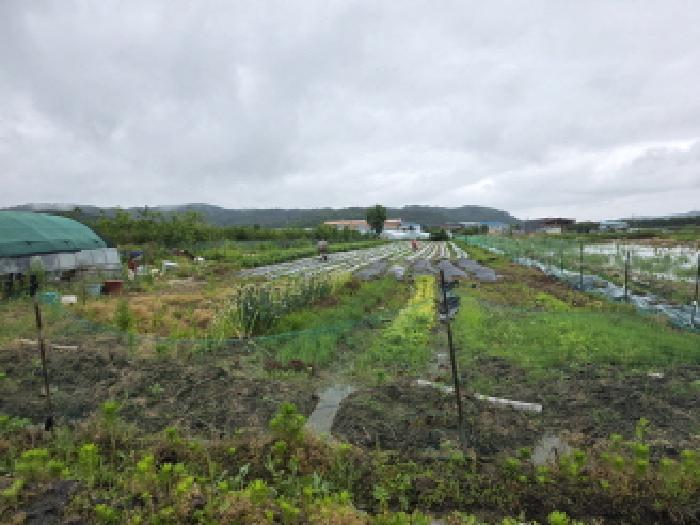 대구광역시 달성군 하빈면 동곡리 1050 답 경매 사진 5