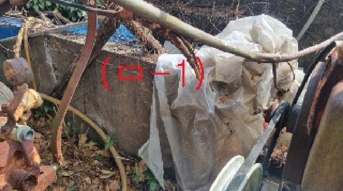 제주특별자치도 서귀포시 토평동 1138 과수원 경매 사진 35