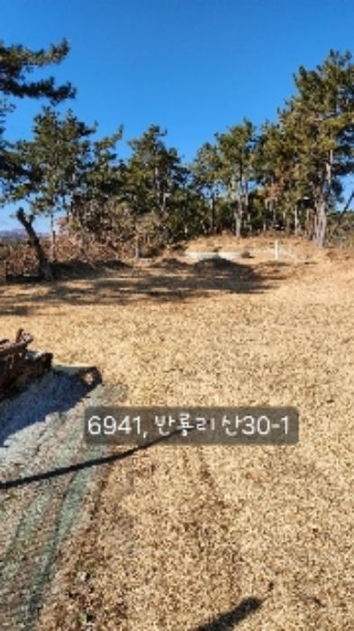 부산광역시 기장군 장안읍 반룡리 산30-1 임야 경매 사진 10