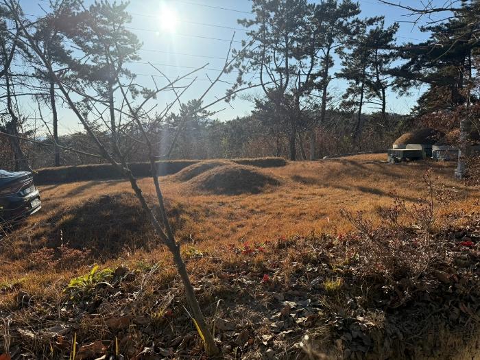 부산광역시 기장군 장안읍 반룡리 산30-1 임야 경매 사진 6