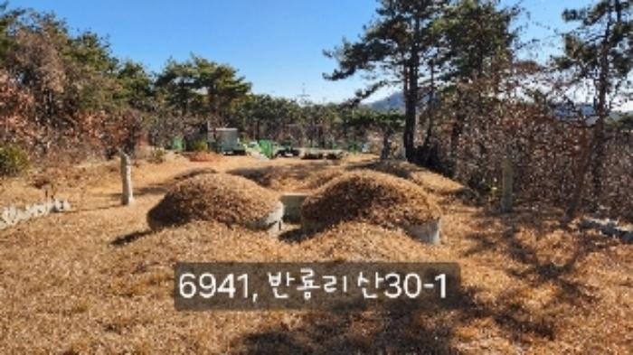 부산광역시 기장군 장안읍 반룡리 산30-1 임야 경매 사진 7