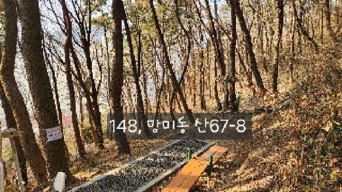 부산광역시 수영구 망미동 산67-5 임야 경매 사진 6