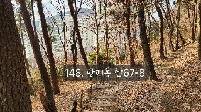 부산광역시 수영구 망미동 산67-5 임야 경매 사진 7