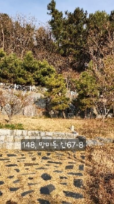 부산광역시 수영구 망미동 산67-5 임야 경매 사진 8