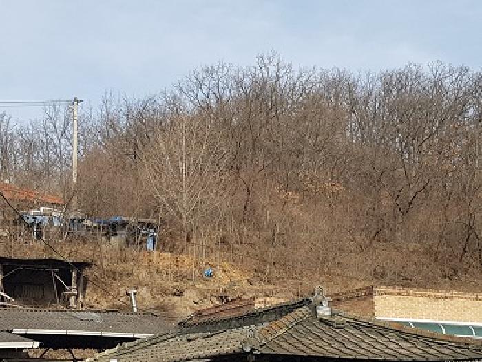경상북도 의성군 의성읍 비봉리 867 대지 경매 사진 7