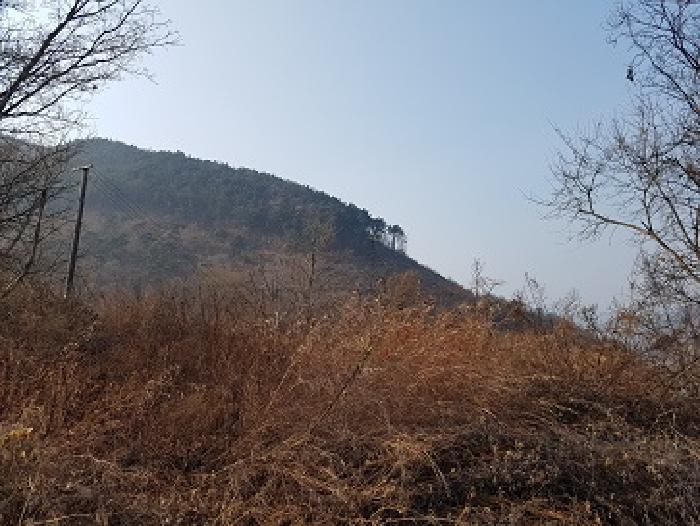 경상북도 의성군 춘산면 금오리 553 전 경매 사진 1