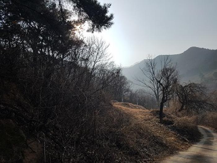 경상북도 의성군 춘산면 금오리 553 전 경매 사진 4