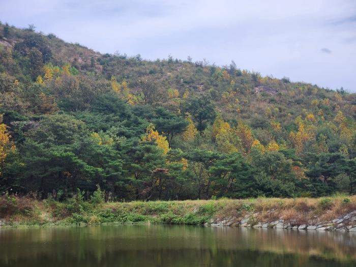 울산광역시 울주군 언양읍 직동리 산19-4 임야 경매 사진 2