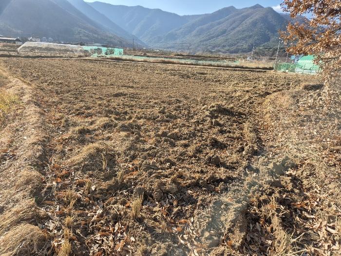 울산광역시 울주군 상북면 거리 548 답 경매 사진 1