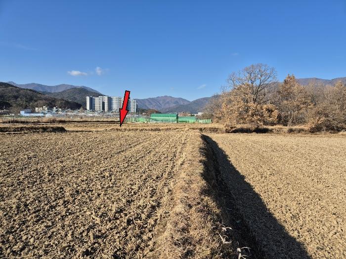 울산광역시 울주군 상북면 거리 549 대지 경매 사진 2