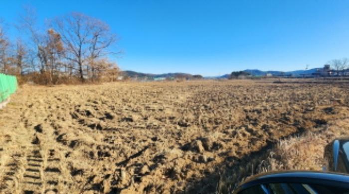 울산광역시 울주군 상북면 거리 549 대지 경매 사진 6