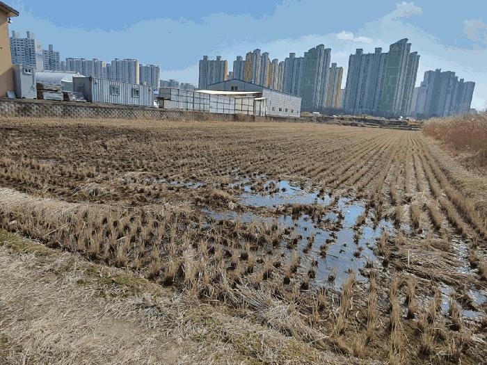광주광역시 북구 신용동 479-6 대지 경매 사진 1