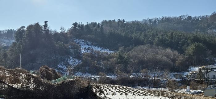 경기도 가평군 설악면 위곡리 968-3 과수원 경매 사진 2
