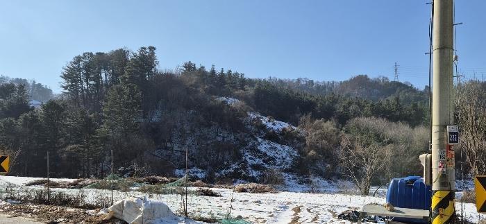 경기도 가평군 설악면 위곡리 968-3 과수원 경매 사진 4