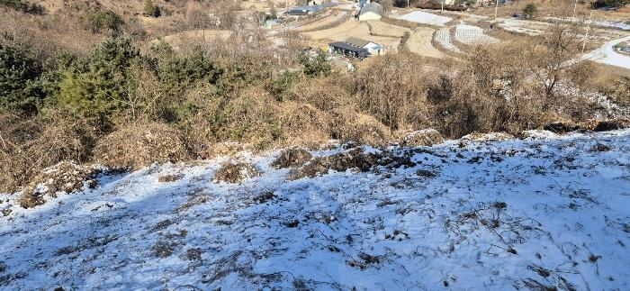 경기도 가평군 설악면 위곡리 968-3 과수원 경매 사진 6