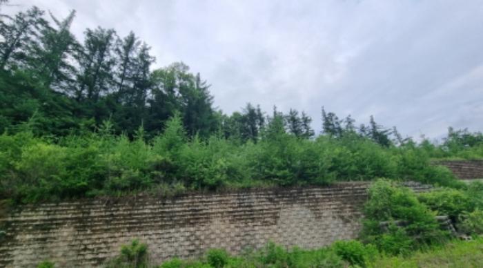 경기도 가평군 청평면 상천리 산201 임야 경매 사진 19