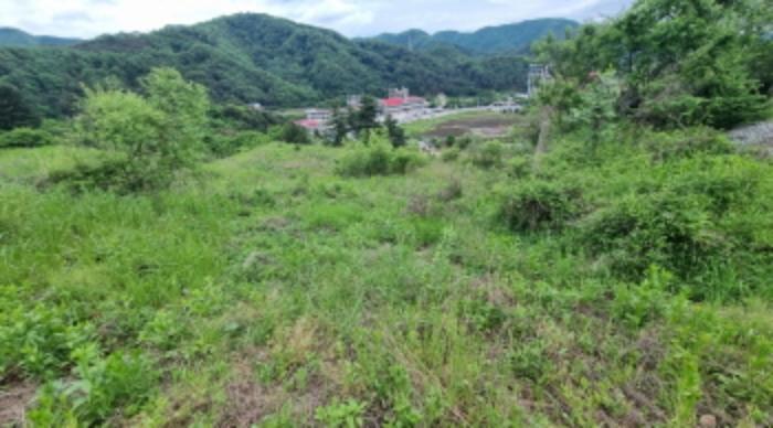 경기도 가평군 청평면 상천리 산201 임야 경매 사진 25