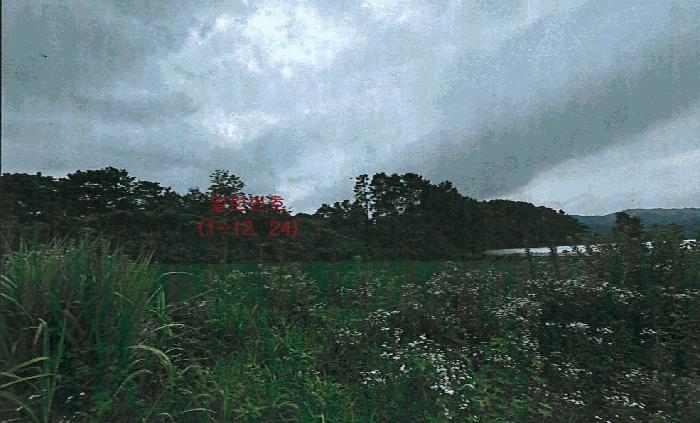 경상북도 성주군 월항면 용각리 505-1 전 경매 사진 1