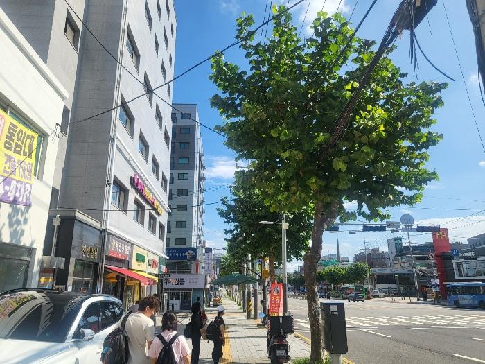 서울특별시 양천구 남부순환로 405, 제102동 제5층 제503호 (신월동, 그라비스)구) 서울특별시 양천구 신월동 131-2 오피스텔 경매 사진 1