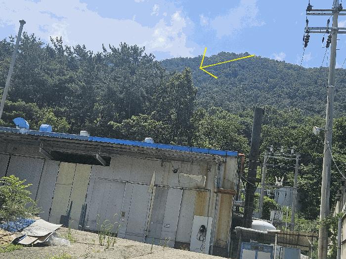 대구광역시 달성군 논공읍 노이리 산229 임야 경매 사진 1
