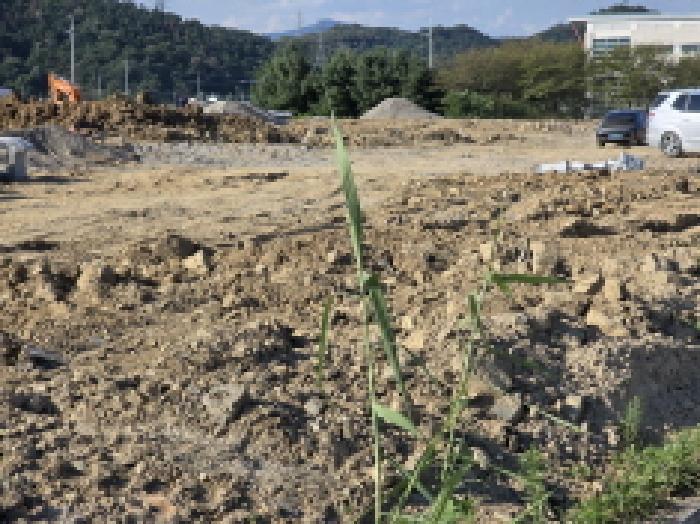 경상북도 성주군 성주읍 성산리 7-2 전 경매 사진 15
