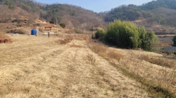 경상남도 함안군 법수면 강주리 501 전 경매 사진 7