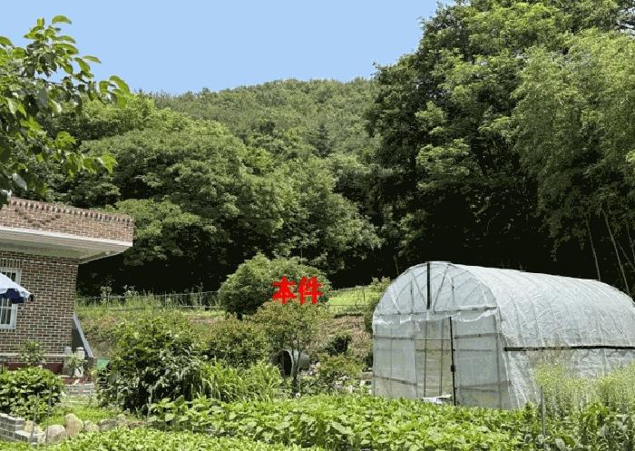 경상남도 창원시 마산합포구 진북면 인곡리 222 답 경매 사진 6