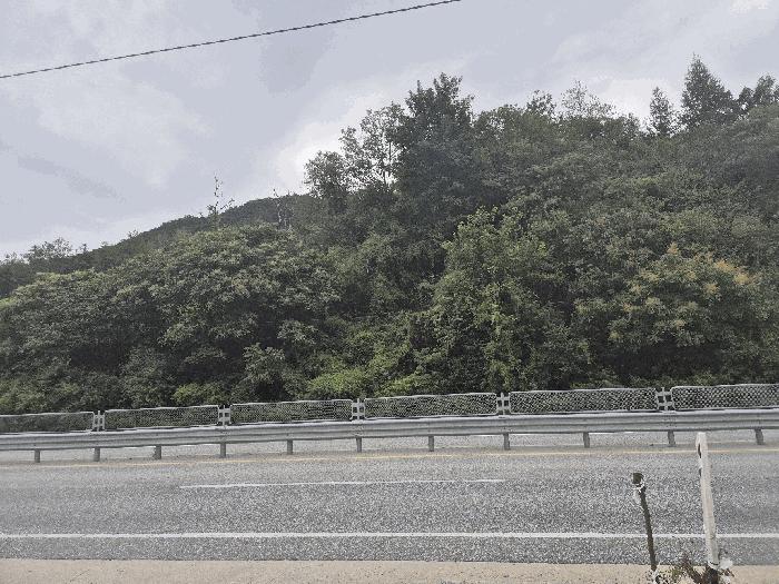 충청북도 괴산군 장연면 광진리 산28 임야 경매 사진 1