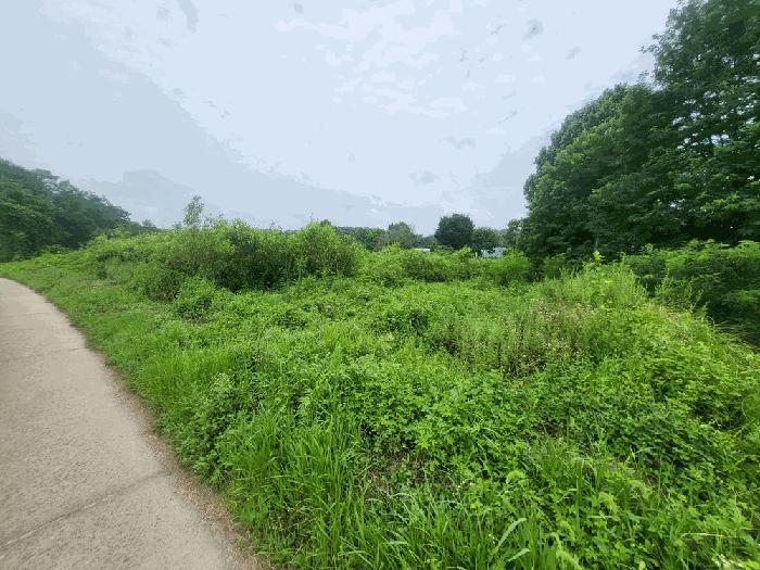 충청북도 진천군 덕산읍 신척리 193 답 경매 사진 1
