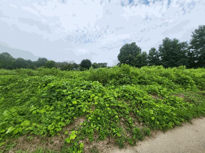충청북도 진천군 덕산읍 신척리 193 답 경매 사진 3