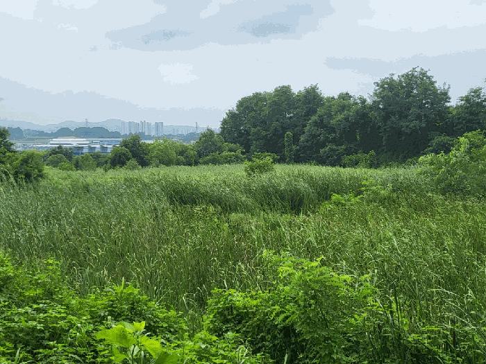 충청북도 진천군 덕산읍 신척리 193 답 경매 사진 5