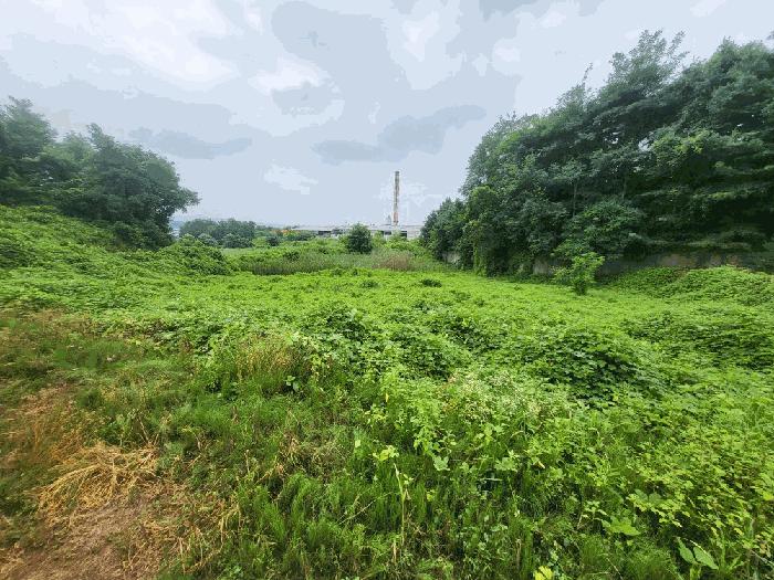 충청북도 진천군 덕산읍 신척리 193 답 경매 사진 6