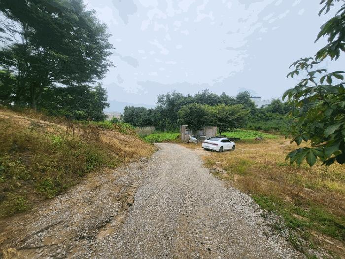 충청북도 진천군 덕산읍 신척리 193 답 경매 사진 7