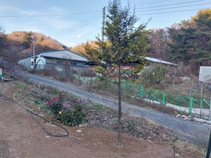 충청남도 공주시 정안면 평정리 164-1 전 경매 사진 15