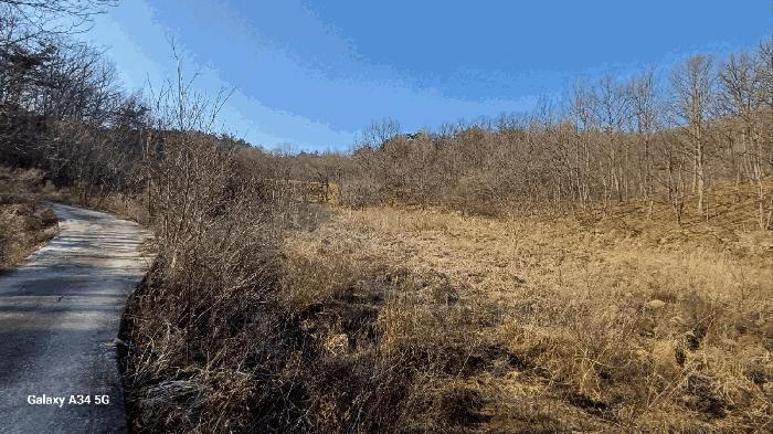 경상북도 영천시 자양면 보현리 1502 전 경매 사진 5