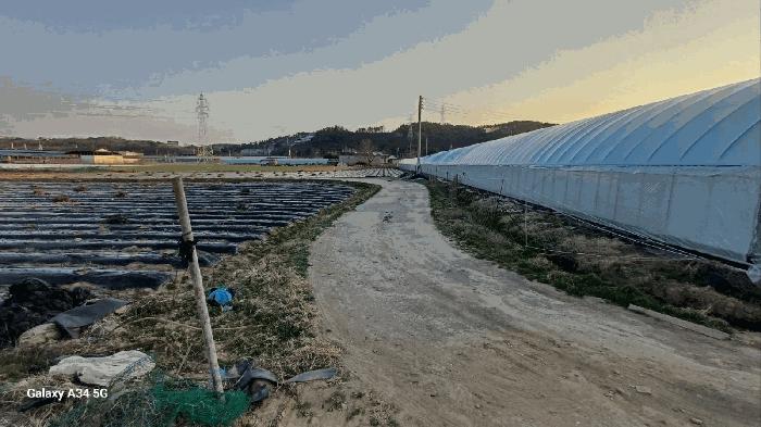 경상북도 영천시 자양면 보현리 1502 전 경매 사진 7