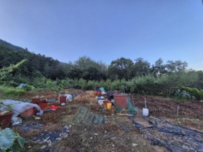 전라남도 나주시 봉황면 철천리 74 답 경매 사진 9