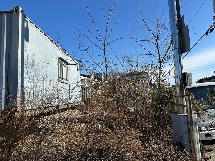 경상북도 울진군 후포면 삼율리 529 전 경매 사진 2