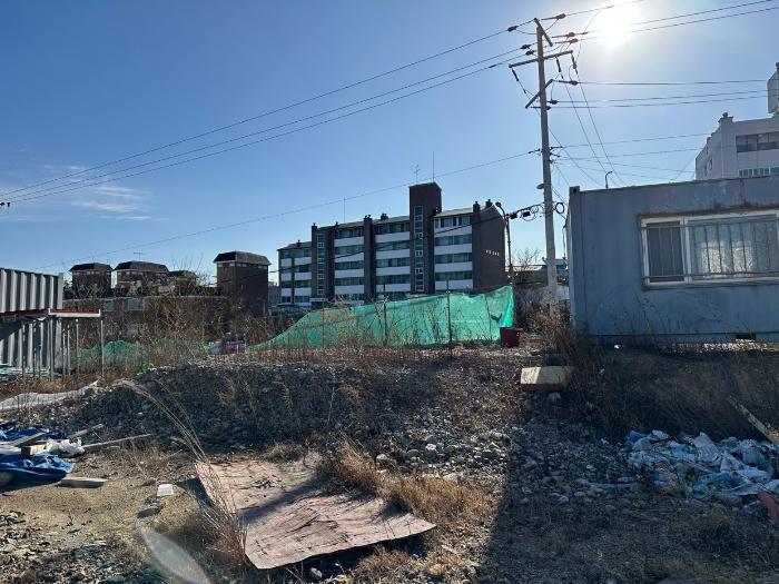 경상북도 울진군 후포면 삼율리 529 전 경매 사진 5