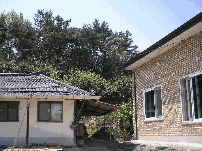 전라남도 나주시 산포면 내기리 산25-4 임야 경매 사진 11