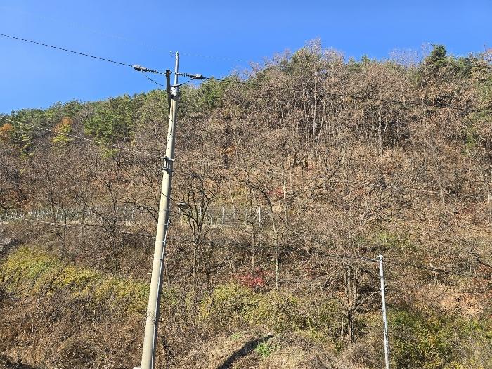 경상북도 영양군 영양읍 동부리 산100-1 임야 경매 사진 1