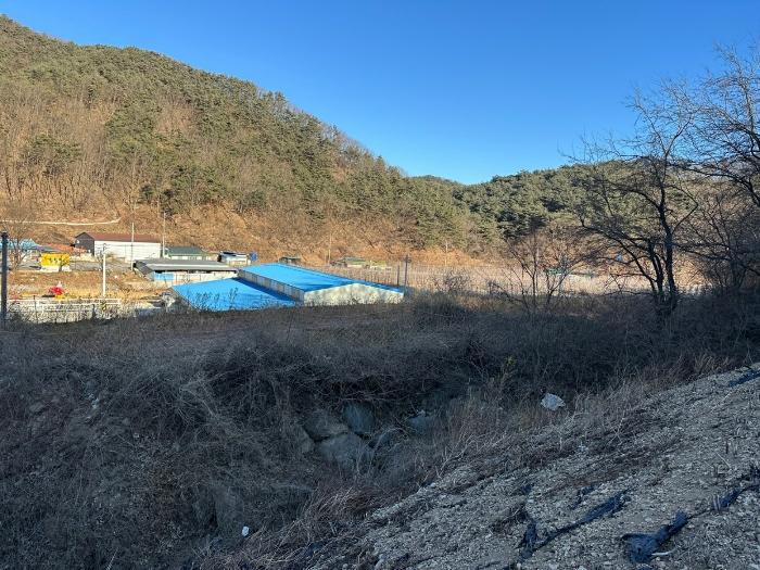 경상북도 영덕군 창수면 창수리 424-6 전 경매 사진 4