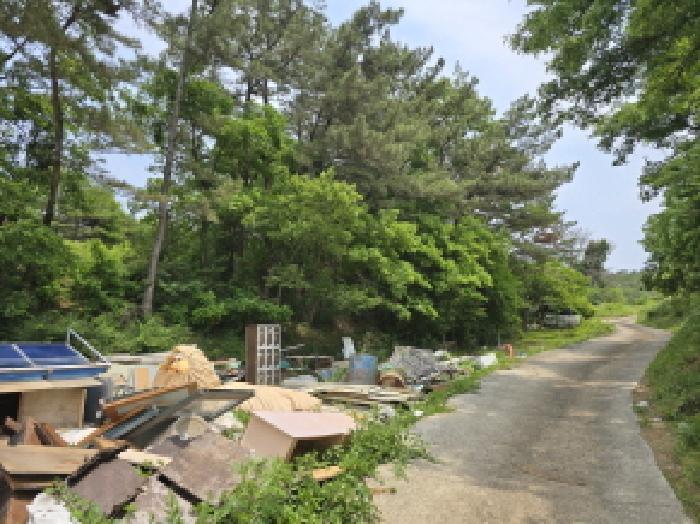경상북도 영천시 임고면 평천리 349 전 경매 사진 3
