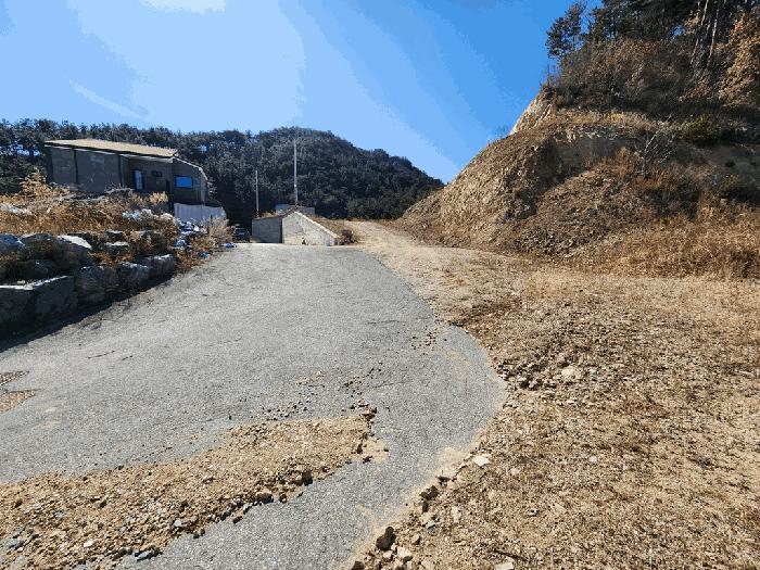경상북도 울진군 후포면 삼율리 732-7 임야 경매 사진 3