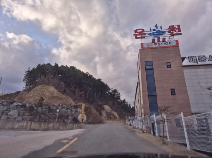 경상북도 울진군 후포면 삼율리 732-7 임야 경매 사진 4