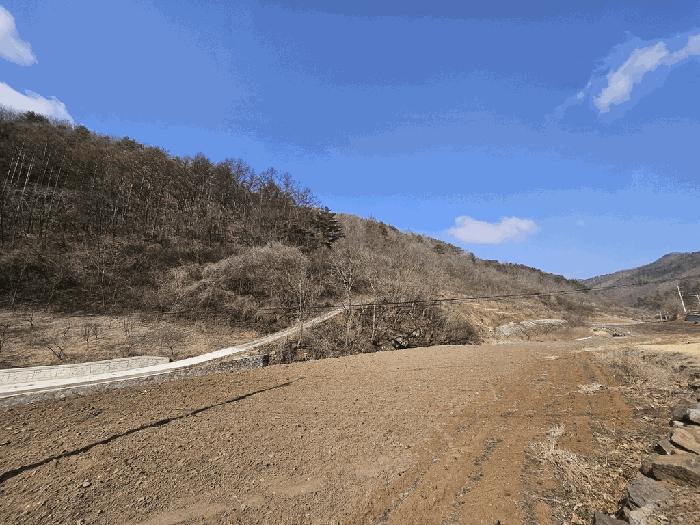 경상북도 영양군 청기면 산운리 산30-3 임야 경매 사진 11