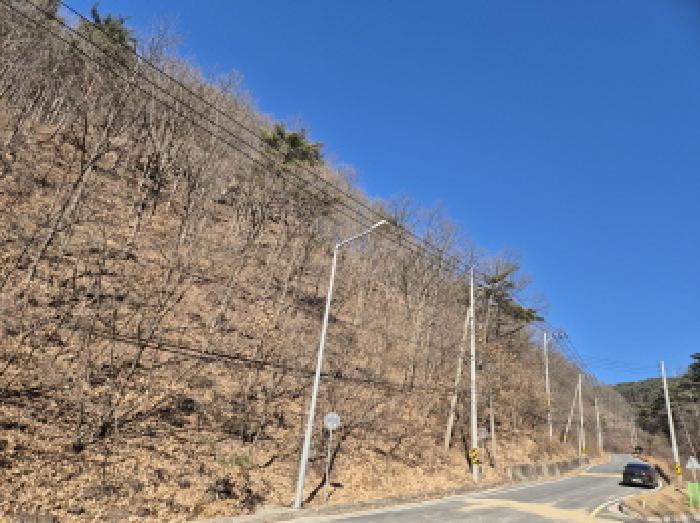 경상북도 영양군 청기면 산운리 산30-3 임야 경매 사진 22